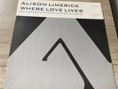 Alison Limerick, Where Love Lives (Remix) (12