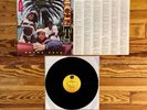 Ice-T: Rhyme Pays LP Vinyl US Sire OG 1987 1st Pressing VG+/VG+ Gangsta Rap