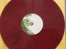 Nation of Language - Strange Disciple | Vinyl  Red + Blue Marble Effect 500 only