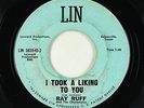 Rock & Roll 45 - Ray Ruff & The Checkmates - I Took A Liking To You - LIN