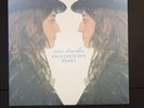 Sara Bareilles - Kaleidoscope Heart Vinyl Record 2 LP Disc 2010 Black Vinyl Pop