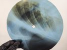 LED ZEPPELIN WHOLE LOTTA LOVE X-Ray USSR Record Roentgen Bone Ribs Music Vinyl