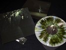 White Ward - Futility Report -  LP with insert  tri colour vinyl with splatter