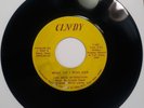 N.  SOUL 45 RPM THE MAIN INGREDIENT I GOT LOVE FOR MY BABY / WHAT DO I WISH FOR