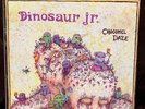 Dinosaur Jr Chocomel Daze Merge 2012 Limited Edition Live Indie Rock Alternative