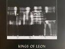 Kings of Leon When You See Yourself (Limited Edition, Colored Vinyl, Stormy Blac
