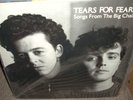 TEARS FOR FEARS songs from the big chair / shout / everybody wants rule  ( rock