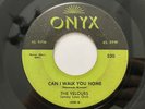 Rare Doo Wop 45 - The Velours 