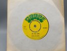 Skiddy and Detroit, The Exile Song/In the Burning Sun, Grape 1972 UK Vinyl RARE