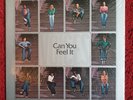 The Voices Of East Harlem 'Can You Feel It' , original 1974 U.S. Vinyl LP, Exc