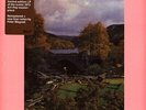 Slapp Happy - Sort Of (Vinyl 12