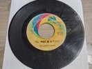 LOLLIPOP SHOPPE: You Must Be A Witch- Don’t Close The Door 45 Rpm Promo 7