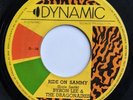 RARE BOSS REGGAE - JOHNNY TOO BAD BYRON LEE THE SLICKERS - DYNAMIC 7