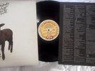 SKYHOOKS Straight In A Gay Gay World LP *** FREE POSTAGE