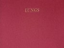Florence and the Machine Lungs LP box set vinyl Europe Island 2019 10th