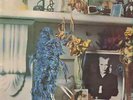 LP Brian Eno Here Come The Warm Jets ORIG 1ST UK PINK RIM ISLAND NEAR MINT