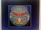 Nuggets: Original Artyfacts From The First Psychedelic Era 1965-1968  Vinyl LP40