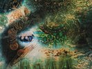 Pink Floyd - A Saucerful Of Secrets Vinyl, LP, Album, Reissue, Remastered, Stere