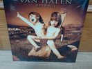 Vinilo Lp Van Halen – Balance. Colored vinyl.