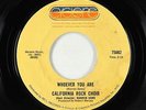 70s Soul 45 - California Rock Choir - Whoever You Are - Cyclone - VG+