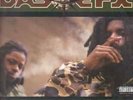 Das EFX Hold It Down INSERT NEAR MINT EastWest Records 2xVinyl LP