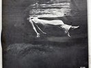 BILL EVANS UNDERCURRENT SOLID STATE SR3084 JAPAN VINYL LP