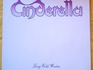 Cinderella - Long Cold Winter 1988 - Lp Vinyl  Mercury ‎– 834 612-1 Europe