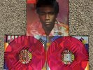 Childish Gambino - Because The Internet - Exclusive Pink Toes Colored Vinyl