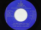 Northern Soul 45 - Flame & the Lovelights - The Way I Want Our Love - Jaber VG+