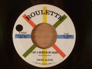 Jimmy Lloyd  I Got A Rocket In My Pocket/You're Gone Baby  RARE  Rockabilly