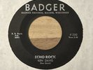 Ken Davis Shook Shake & Echo Rock Badger 250  GREAT Wisconsin rocker 45 record