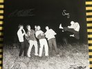 THE ROYSTON CLUB SHAKING HIPS AND CRASHING CARS WHITE PINK SPLAT VINYL 184/500