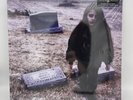 Crystal Castles II 2x LP Vinyl Import Rare SEALED Brand New Record
