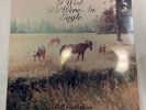 Sometimes I Wish We Were An Eagle by Callahan, Bill (Record, 2009)