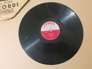 The Robins Riot In Cell Block #9. Spark Record Co.  78 Album