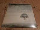 Genesis: Wind And Wuthering (2018 Reissue) (180g) - Virgin  - (Vinyl / Rock Nru