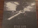 Antischism - Still Life  Allied  Vinyl LP Record Album Hardcore