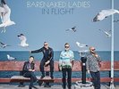 Barenaked Ladies In Flight Records & LPs New