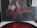 Wildfire by Destroyer 666 (Record, 2023)