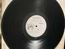 FALLEN ANGELS LP White Label  . Signed by Knox . Vibrators Hanoi Rocks