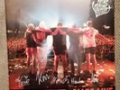 FEINE SAHNE FISCHFILET-ALLES GLÄNZT-ALLES LIVE 2 LP. SIG, DIE TOTEN HOSEN RAR