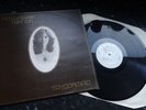ROSEMARIE TAYLOR - RARE IRISH 1st PRESS FOLK LP - TAYLORMAID - I.D. Records-1977