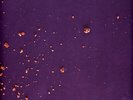 Chill Bump - Crumbs Volume 2 (Vinyl 2LP - 2023 - FR - Original)