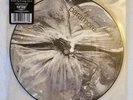 Paramore Brick by Boring Brick 7” Vinyl 45 Picture Disc SUPER RARE Hot Topic Exc