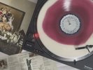 The Last Dinner Party Prelude To Ecstasy. Red Wine Stain Ltd 2000 Numbered