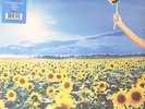 STONE TEMPLE PILOTS THANK YOU ( GREATEST HITS ) - VINYL 2-LP SET  