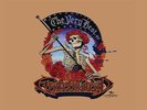 The Grateful Dead - The Very Best Of The Grateful Dead (2 x LP) [SEALED/MINT]