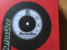 STATUS QUO - THE VINYL SINGLES COLL. (LTD 7