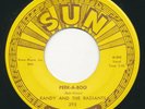 SUN 395 - Randy & The Radiants - Peek-A-Boo/ Mountains High  Garage Rock 45 rpm
