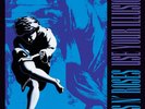 Use Your Illusion II [VINYL]